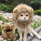 Cat Costume Lion Mane Wig for Cats Pet Dress Up