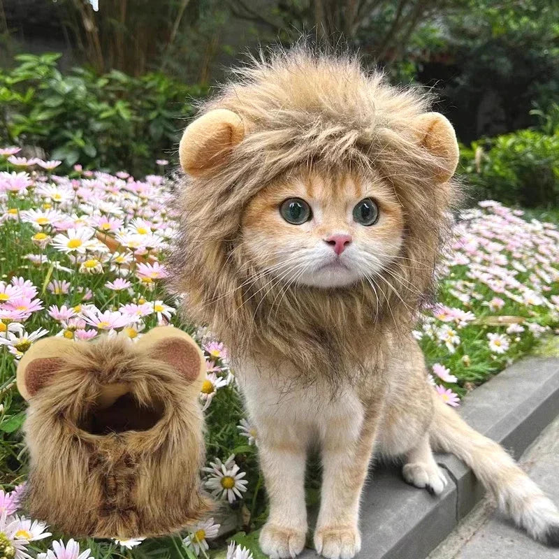 Cat Costume Lion Mane Wig for Cats Pet Dress Up