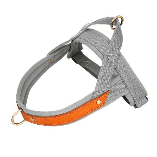 T Harness Dog Leash Adjustable No Pull Comfortable Pet Walking Harness