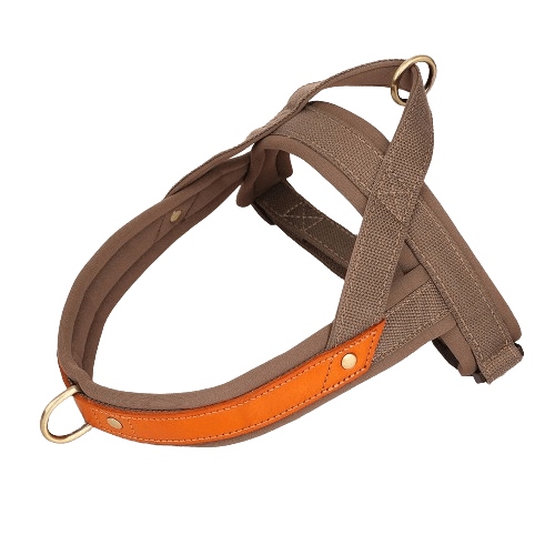 T Harness Dog Leash Adjustable No Pull Comfortable Pet Walking Harness