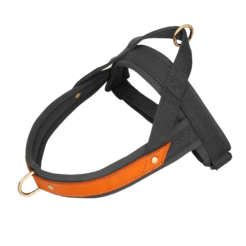 T Harness Dog Leash Adjustable No Pull Comfortable Pet Walking Harness