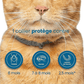 Flea and Tick Collar for Dogs and Cats Natural Pest Protection
