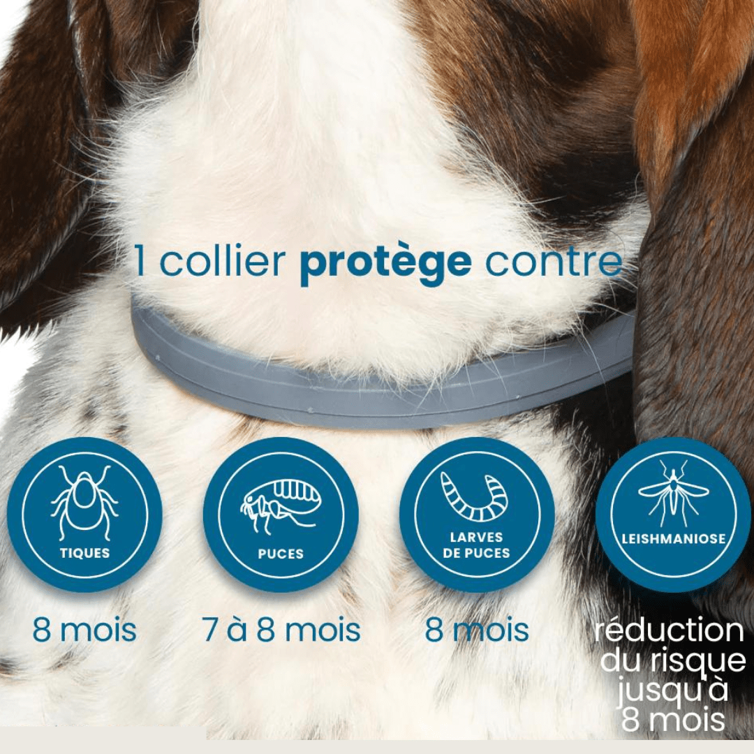 Flea and Tick Collar for Dogs and Cats Natural Pest Protection