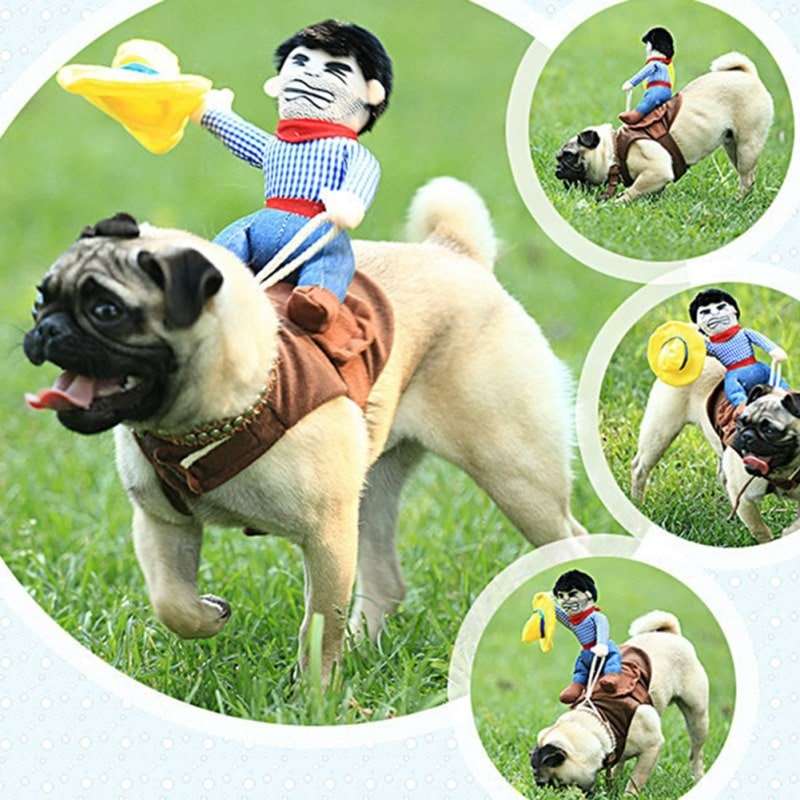 Pet Costume for Cats and Dogs Rodeo Outfit