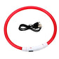 LED Dog Collar Rechargeable Safety Light Up Collar for Night Walks Visible Pet Collar