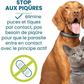 Flea and Tick Collar for Dogs and Cats Natural Pest Protection