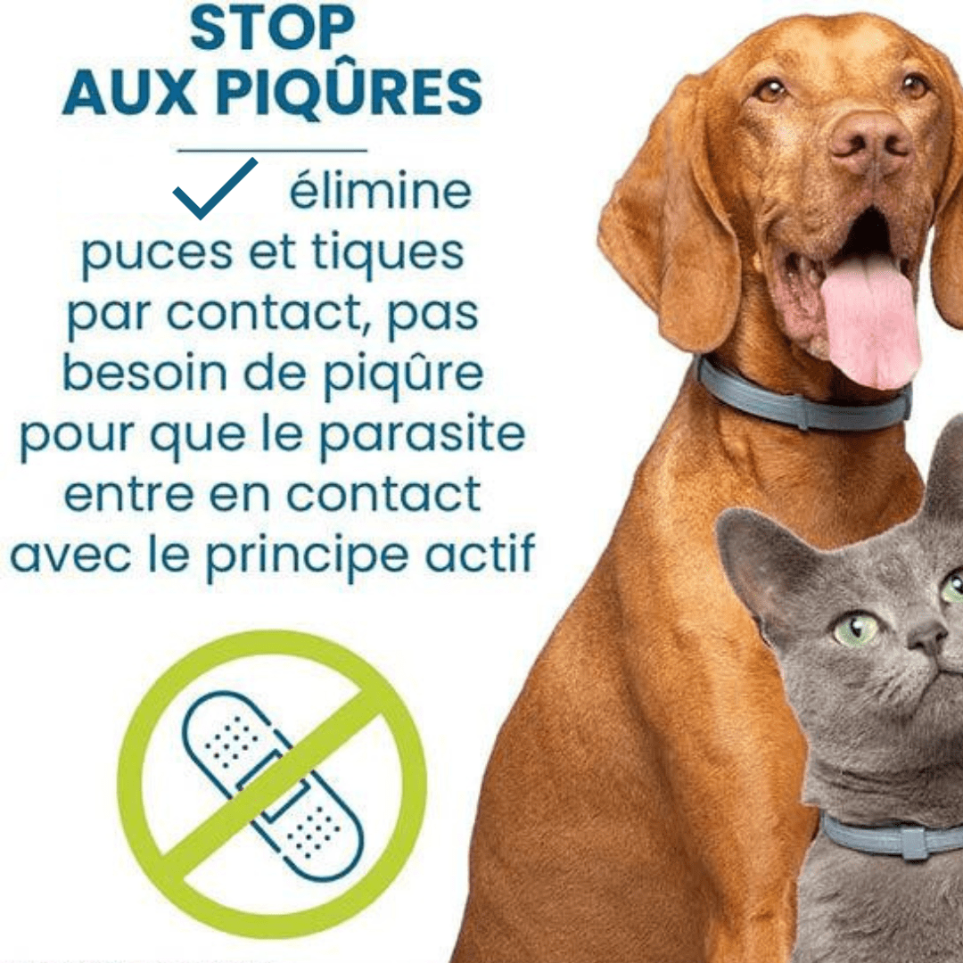 Flea and Tick Collar for Dogs and Cats Natural Pest Protection